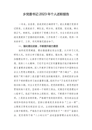乡党委书记2023年个人述职报告.docx