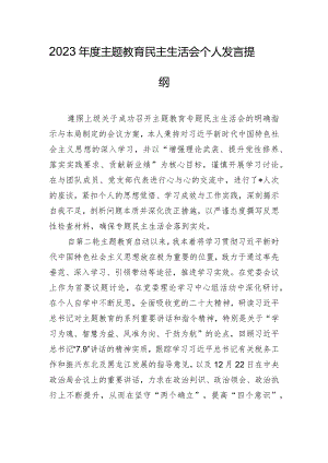 2023年度主题教育民主生活会个人发言提纲.docx