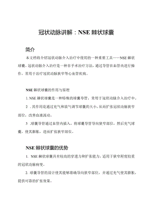 冠状动脉讲解：NSE棘状球囊.docx