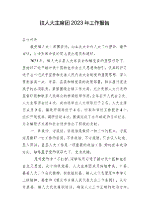 镇人大主席团2023年工作报告.docx