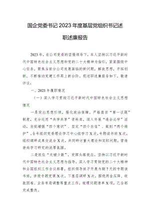 国企党委书记2023年度基层党组织书记述职述廉报告.docx