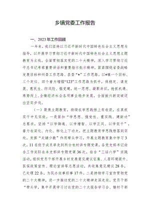 乡镇党委工作报告.docx