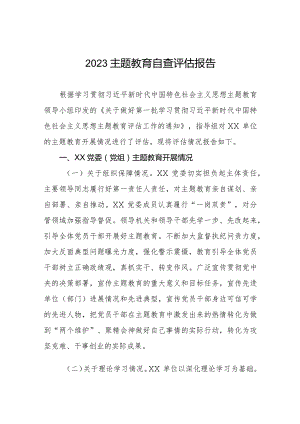 2023年主题教育开展情况自查评估报告.docx