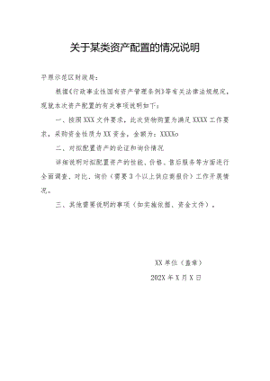 关于某类资产配置的情况说明.docx