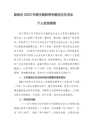 副县长2023年度主题教育专题民主生活会个人发言提纲.docx