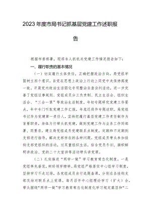 2023年度市局书记抓基层党建工作述职报告.docx