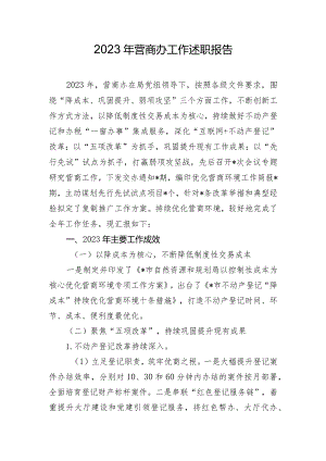 2023年营商办工作述职报告.docx