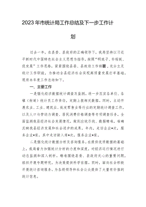 2023年市统计局工作总结及下一步工作计划.docx