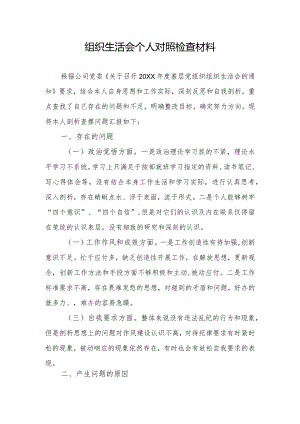 组织生活会个人对照检查材料.docx
