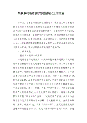 某乡乡村组织振兴实施情况工作报告.docx