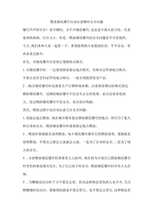 燃放烟花爆竹应该注意哪些安全问题.docx