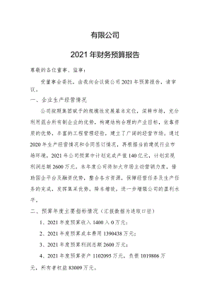 2021年财务预算报告.docx