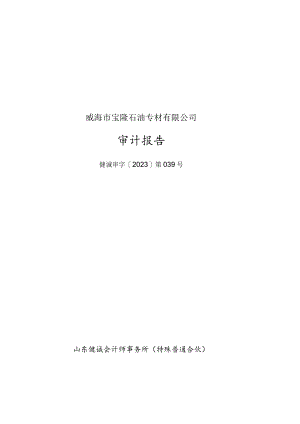 山东墨龙：威海市宝隆石油专材有限公司审计报告.docx