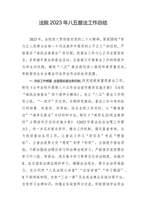 法院2023年八五普法工作总结.docx