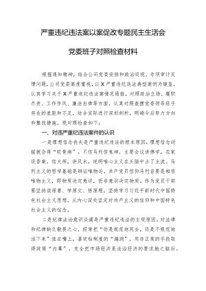 严重违纪违法案以案促改专题民主生活会党委班子对照检查材料.docx