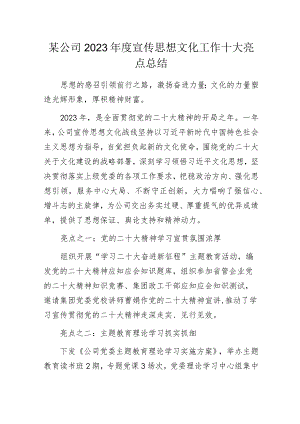 某公司2023年度宣传思想文化工作十大亮点总结.docx