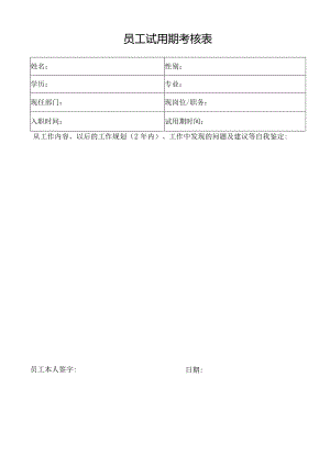 员工试用期考核表.docx