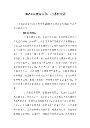 2023年度党支部书记述职报告.docx