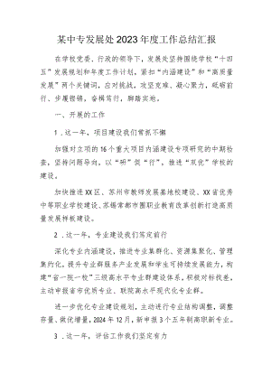 某中专发展处2023年度工作总结汇报.docx
