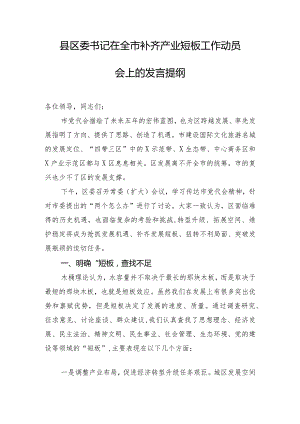 县区委书记在全市补齐产业短板工作动员会上的发言提纲.docx