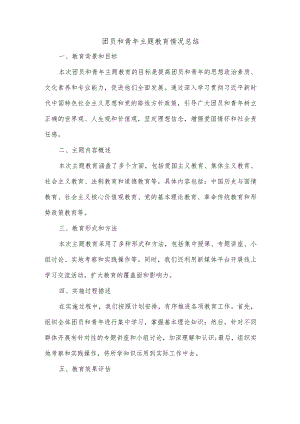 团员和青年主题教育情况总结.docx