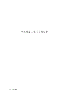 市政道路工程项目策划书.docx