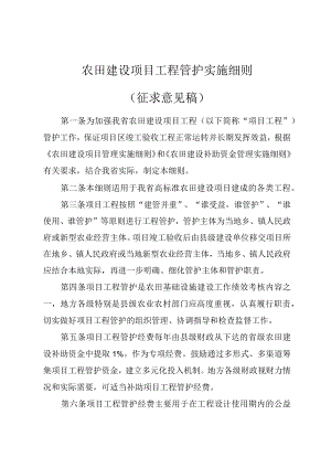 农田建设项目工程管护实施细则.docx
