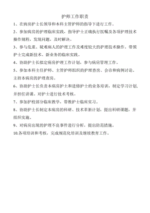 护师工作职责.docx