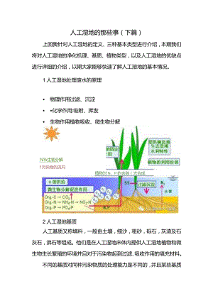 人工湿地的那些事（下篇）.docx