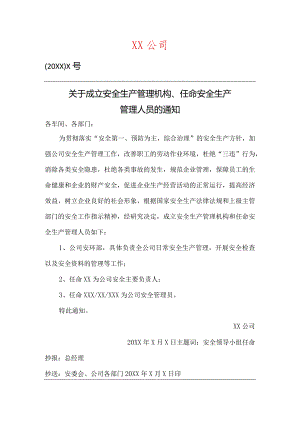成立安全管理机构、任命安全员的通知.docx