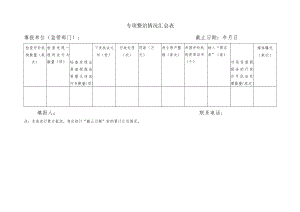 专项整治情况汇总表.docx