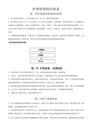 护理管理组织体系.docx