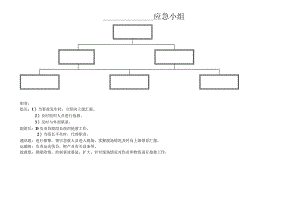 应急预案领导小组、组织机构.docx