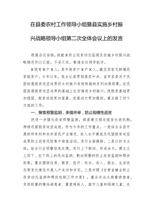 在县委农村工作领导小组暨县实施乡村振兴战略领导小组第二次全体会议上的发言.docx
