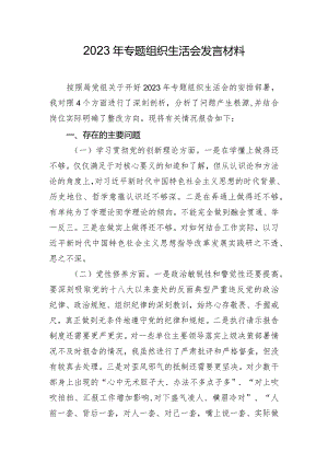 2023年专题组织生活会发言材料.docx