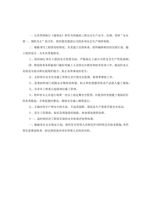 项目安全生产责任制.docx