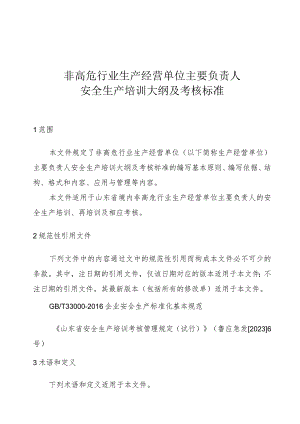 非高危行业生产经营单位主要负责人安全生产培训大纲及考核标准.docx
