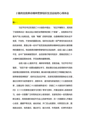 2篇将自我革命精神贯穿组织生活会始终心得体会.docx