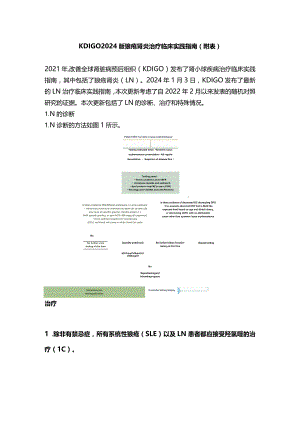 KDIGO2024版狼疮肾炎治疗临床实践指南（附表）.docx