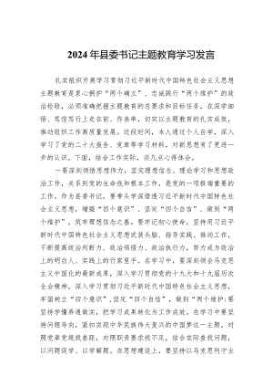 2024年县委书记主题教育学习发言范文.docx
