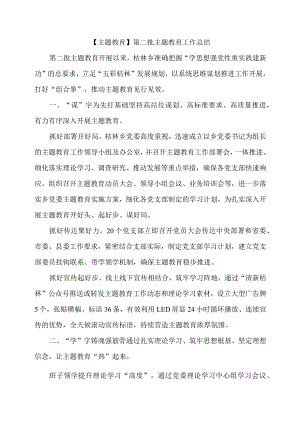 【主题教育】第二批主题教育工作总结.docx