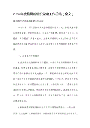 2024年度县两新组织党建工作总结（全文）.docx