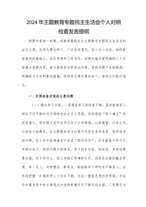 2024年主题教育专题民主生活会个人对照检查发言提纲.docx