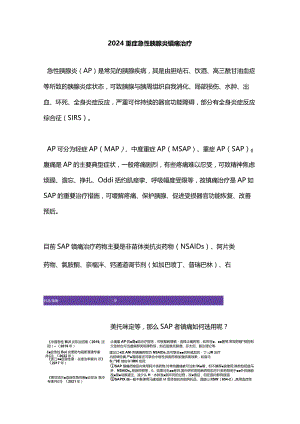 2024重症急性胰腺炎镇痛治疗.docx
