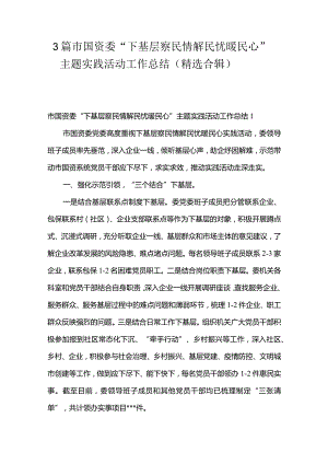 3篇市国资委“下基层察民情解民忧暖民心”主题实践活动工作总结（精选合辑）.docx