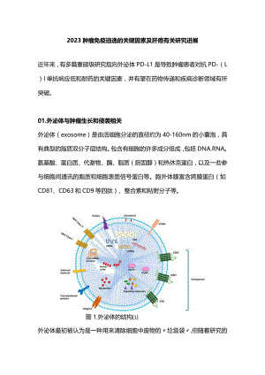 2023肿瘤免疫逃逸的关键因素及肝癌有关研究进展.docx