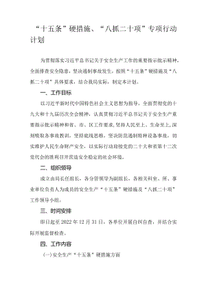 “十五条”硬措施、“八抓二十项”专项行动计划.docx