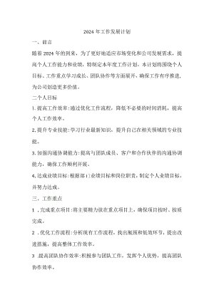 2024年工作发展计划.docx