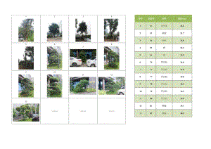 XXXXXXXX（项目名称）绿化清单（范本）.docx