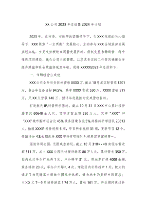 XX公司2023年总结暨2024年计划.docx